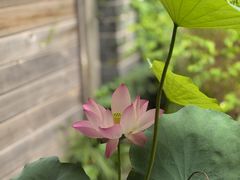 -花锦堂·隐庐
