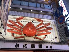 -蟹道乐(道顿堀本店)
