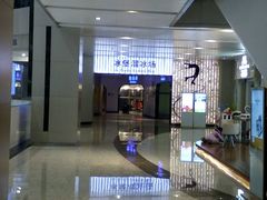 -冰堡国际溜冰场(观澜湖新城MHMALL店)
