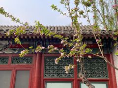 -海棠花溪(元大都城垣遗址公园)