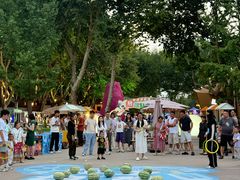 -西安电影制片厂