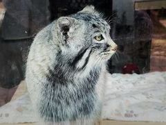 -青藏高原野生动物园