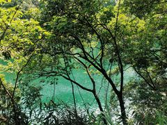 -鼎湖山风景区