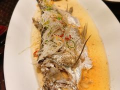 -运·中餐厅(成都华尔道夫酒店)