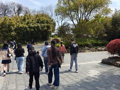 -巢湖姥山岛