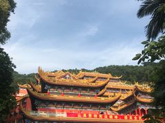-东莞市大岭山森林公园