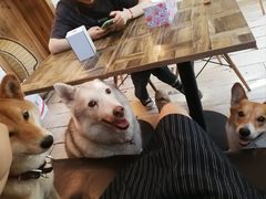 -小时光咖啡馆(北锣鼓巷店)