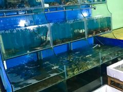 -海月湾海景餐厅( 嵊泗本地老字号店)