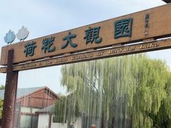 -白洋淀景区