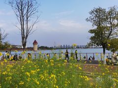 -九龙湖公园