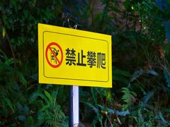 -广州市帽峰山景区