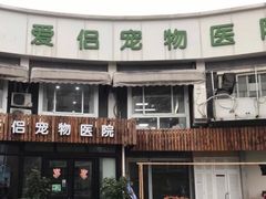 -爱侣宠医·鹦鹉专科·小型哺乳类·异宠专科(灵石路店)