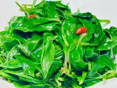 -狮王府淮扬菜(万象城店)