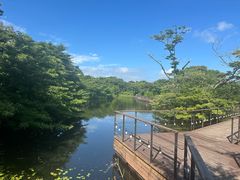 -济州森林小火车生态公园