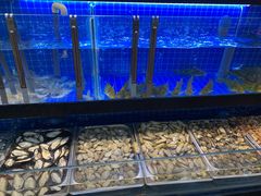 水产区-苏格里岛自助海鲜火锅烧烤(大汉悦中心店)