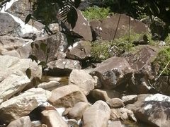 -海南热带雨林国家公园吊罗山景区