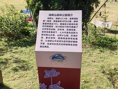 -黄埔油麻山森林公园
