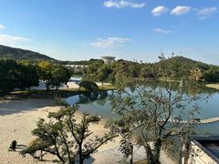 -上海佘山世茂艾美酒店