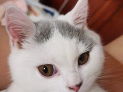 -217笋干馄饨
