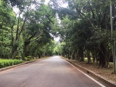 -福建鲤鱼洲酒店