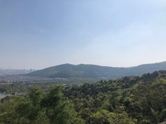 -苏州上方山国家森林公园