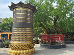 -会龙寺