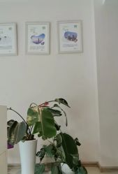 -Dr.林醫生产后修复·配方产康店(南京大厂店)