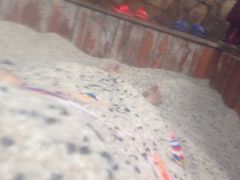 -南京汤山紫清湖生态旅游温泉度假区