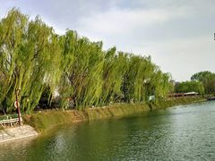 -西安汉城湖景区