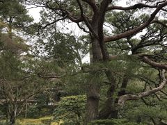 -京都御所