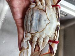 -济南海鲜大市场