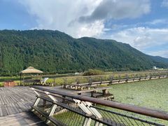 -腾冲北海湿地