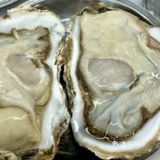 吃货日记：今天尝鲜生蚝