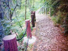 -上海佘山国家森林公园西佘山园