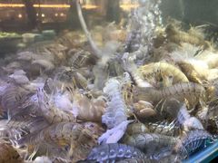 -四海蒸鲜蒸汽海鲜自助(北戴河店)