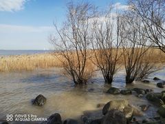 -上海吴淞炮台湾国家湿地公园