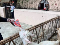 -深圳锦绣中华民俗村