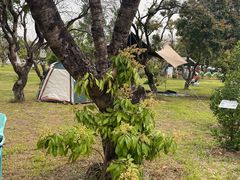 -长洲岛都市农业公园