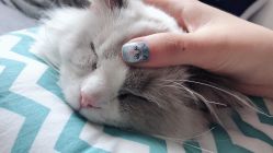 -PinkBaby美甲美睫