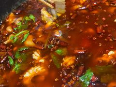 -重庆乌鱼庄·龙滋鲜(青羊大道店)