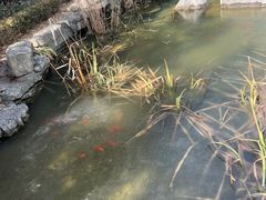 -聚缘堂·海鲜私房菜(松岭路店)