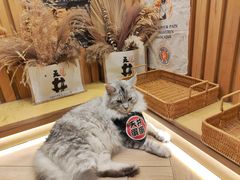 -天井·丑面包搭咖啡