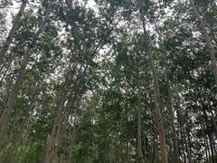 -仁和公园(顺义区)
