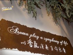 -芳香乐府疗愈空间·SPA·冥想