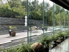 -外滩悦榕庄·海怡西餐厅