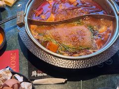 -牛New寿喜烧(金鹰世界店)