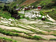-紫鹊界梯田景区