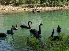 -长白岛森林公园