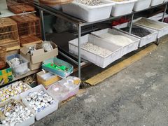 -哈尔滨市宠物交易市场