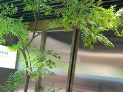 -客语客家菜(华发商都店)